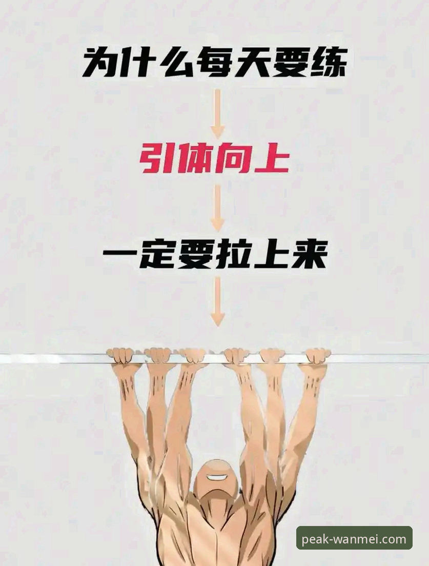完美体育操作指南 完美体育操作指南:从新手到达人的完整使用教程